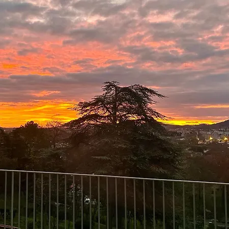 Avec Vue קרקסון