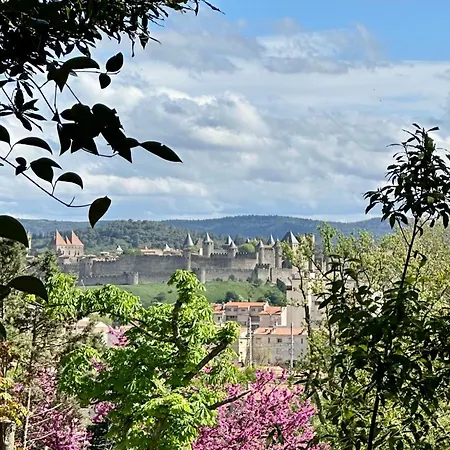 Panzió Avec Vue