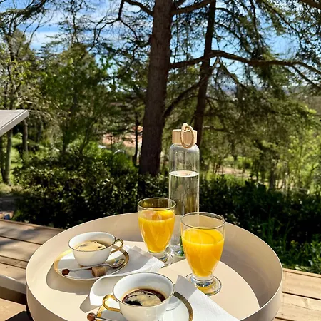Avec Vue 4* Carcassone