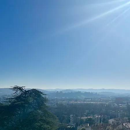 Avec Vue