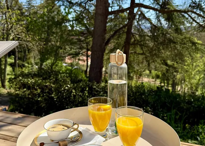 Avec Vue 4* Carcassonne